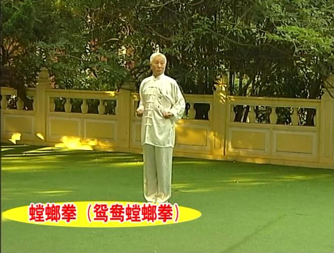 螳螂拳(鸳鸯螳螂拳)-青岛市南区文化馆