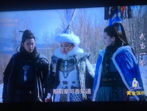 央视版《武当一剑》随观随感第三十集:岂料他乡遇故知