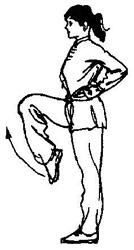 武术基本功--腿法(下)