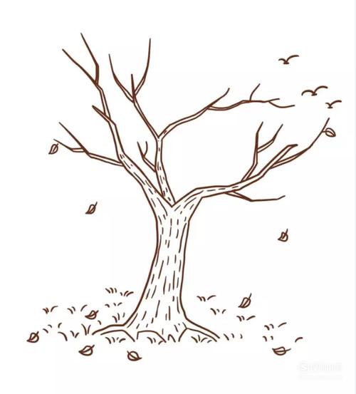 多妈简笔画植物一株秋天的树