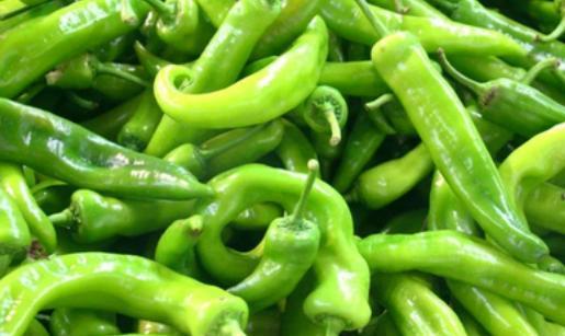 打了激素的青椒太多?老菜农教你一招,回回避开激素青椒