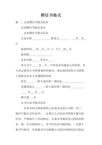 聘任书格式范本.docx