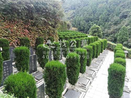 真武山憩园_公墓价格_电话_墓地风水-成都找墓网