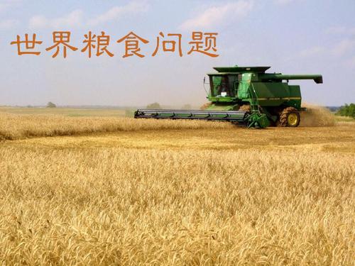 介绍08年至11年3月的粮食危机.