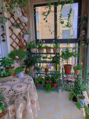 今日份封闭阳台小花园 | 阳光明媚 花草灿烂_阳台_秘密花园_踢脚线