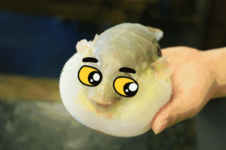 所以他们说: 不吃河豚的人是傻瓜!