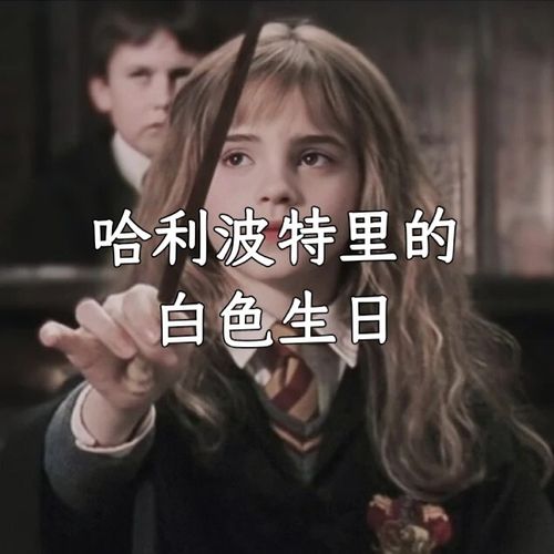 哈利波特中的人物生日92_哈利波特_范斯怎么样_哈利波特经典瞬间