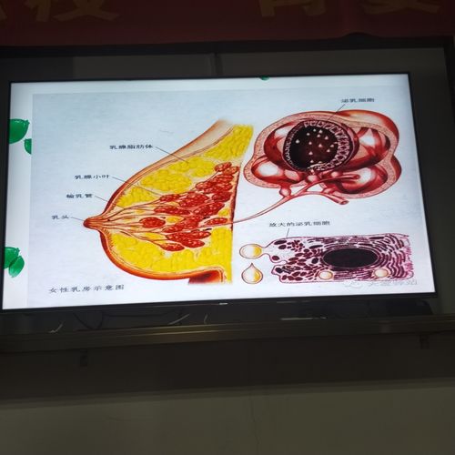 江南学校母婴护理(月嫂)培训班第四期白天班级留念