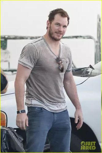 克里斯·帕拉特