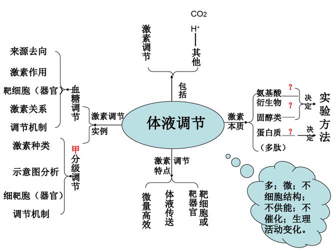 体液调节思维导图11