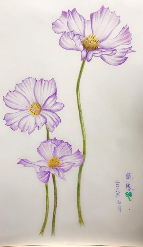 色的诱惑～我的彩铅画(一)