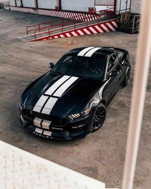 福特野马shelbygt350终极眼镜蛇