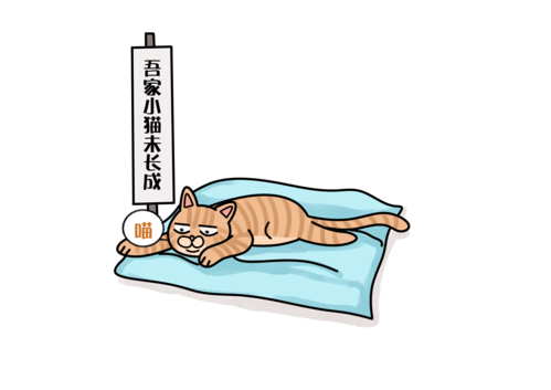 洗完澡就生病了别杠不是猫咪太弱真可能是你的操作有问题