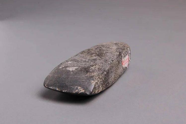 石质之斧——天水市博物馆馆藏石斧文物鉴赏