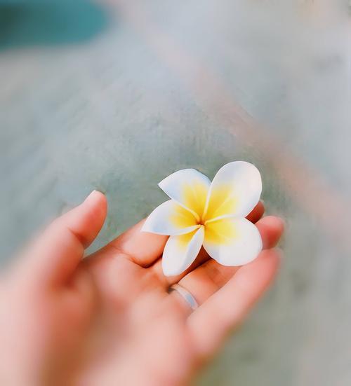 手里一朵花,心中一朵莲.
