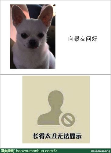 有没有"此人长得太丑无法显示"的图片