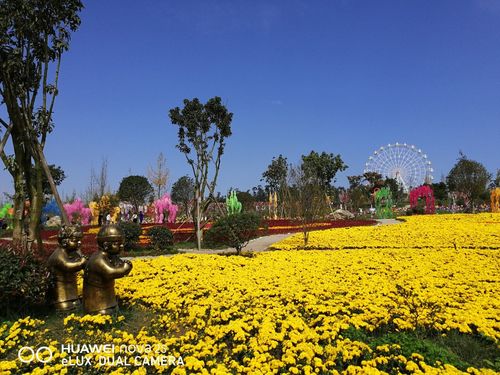 游玩新都巜百花谷》