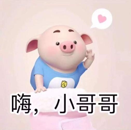抖音猪猪九宫格多图