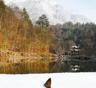 巍巍二郎山生态喇叭河