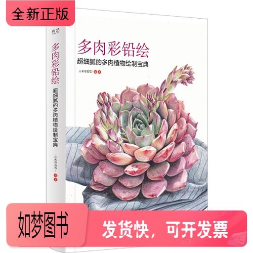 多肉彩铅绘 超细腻的多肉植物绘制宝典 小米与石石 多肉植物盆栽绘画