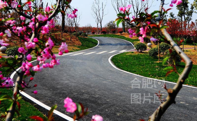 事件地点:合肥->蜀山区->小庙镇