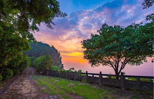 巴南樵坪山上的红豆杉山庄 雨后的清晨空气格外清新