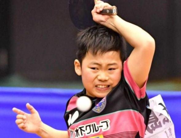 张本智和接班人日乒14岁小将上位长相酷似樊振东