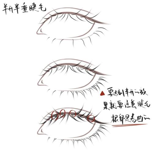 procreate睫毛画法迅速让你找到画睫毛技巧_睫毛_procreate_绘画_贴片