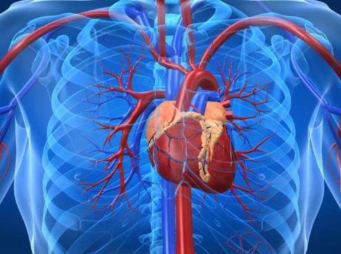 心肌梗塞吃什么食物好?心肌梗塞是什么原因