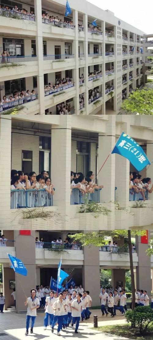乐从中学我的青春在这