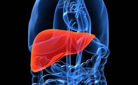 出现脾大,是肝脏的什么表现,又是处于什么样的阶段