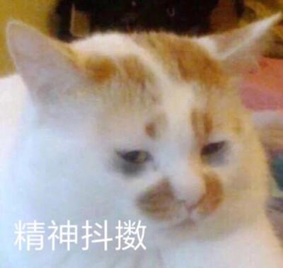 精神充沛表情包