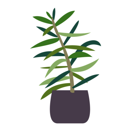 首页 免抠元素 卡通手绘 花朵植物盆栽 更多同类素材: 自然的 盆栽