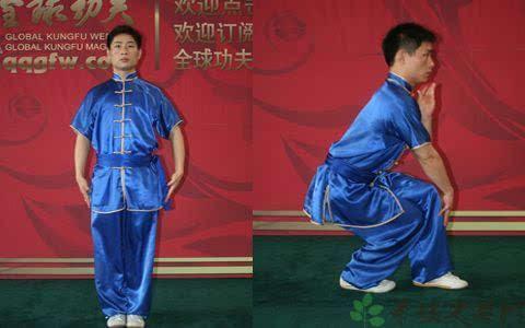 少林七星拳拳谱及动作图解