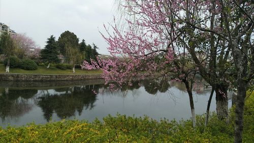 安徽省合肥市庐江县庐城镇石庄