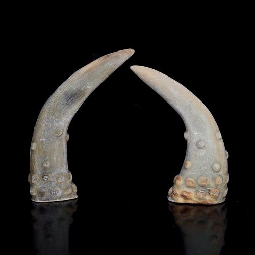 佚名 精品射天角一对