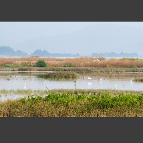 银湖湾湿地公园秋景