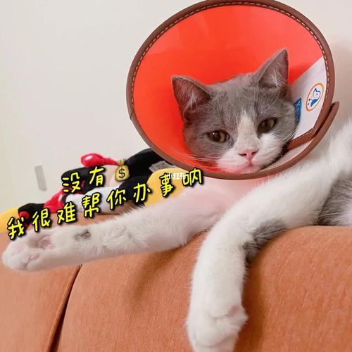 养乐多的表情包哈哈93_养乐多怎么样_表情包_素材