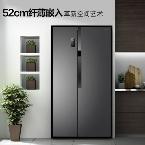 容声双开门对开门电冰箱家用无霜双变频大容量纤薄视频