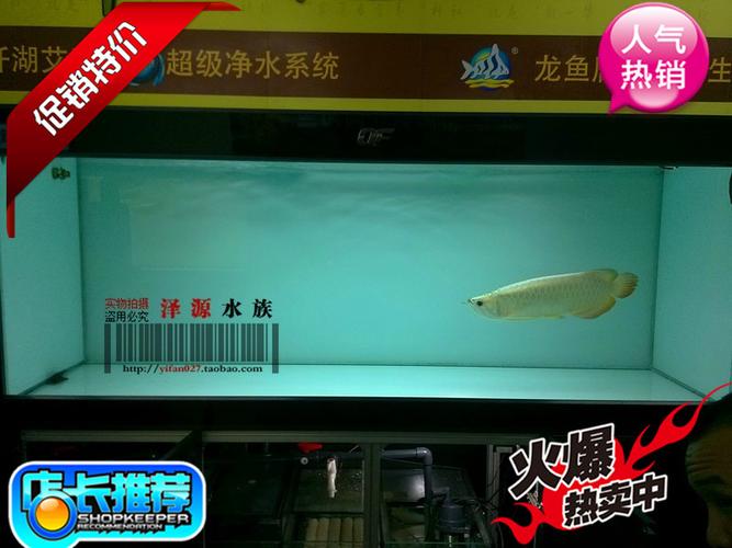 喜欢御龙殿二代鱼缸的还喜欢