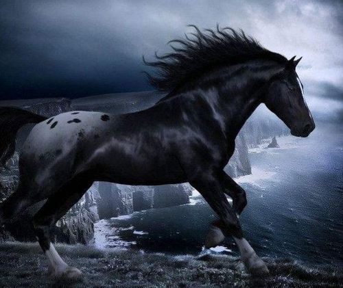 水浒传中呼延灼的坐骑叫"踏雪乌骓马" 我是一匹故乡的马儿 戴着