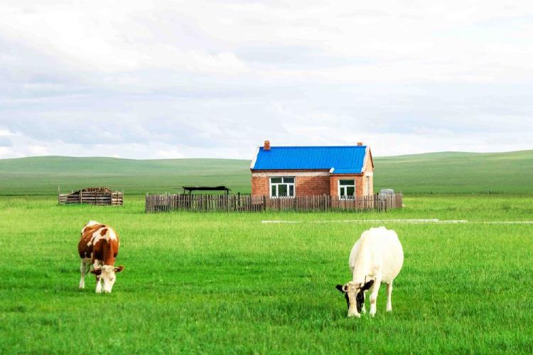 呼伦贝尔最美秋天又到了,草原美景像一幅颜色鲜明,浓墨重彩的画