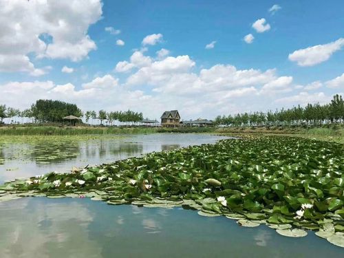 辽宁省辽阳市辽阳县柳壕湿地公园