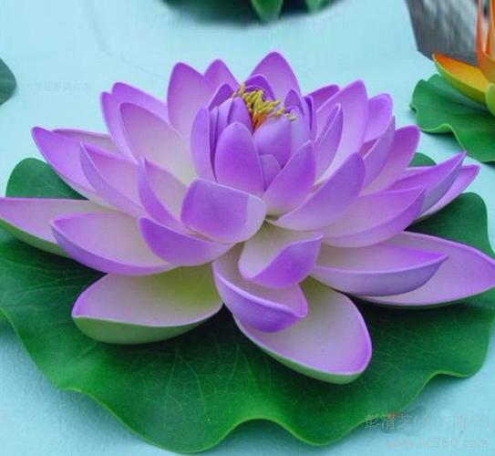 带有表示颜色或花名的诗句例如荷花,桂花,菊花等