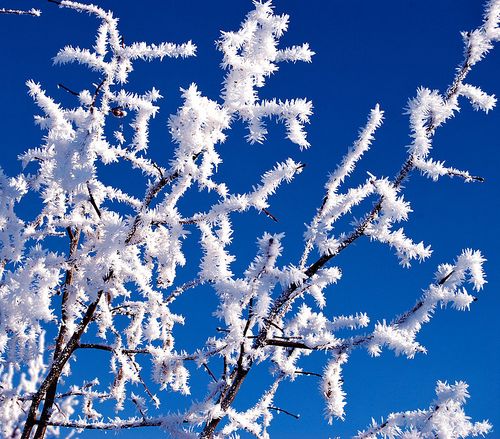 雾凇_图片大全—全景创意图库(quanjing.com)中国领先