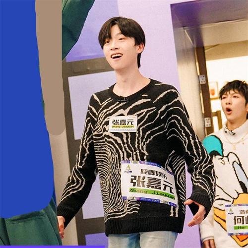 创造营2021张嘉元图片,唯美图片2021新图片 创造营2021张嘉元同款毛衣简约斑马纹撞色套头圆领长袖针织衫男女【1