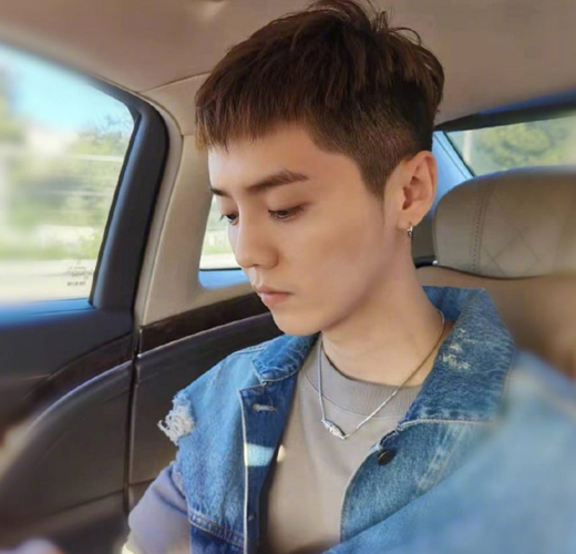 鹿晗晒车内短发自拍换了个发型像换了个人少年感扑面而来