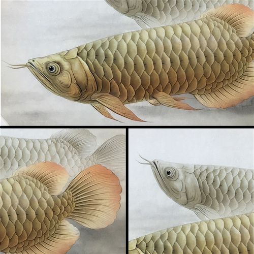 玄关国画客厅手绘装饰画工笔金龙鱼九鱼年年有余花鸟国画