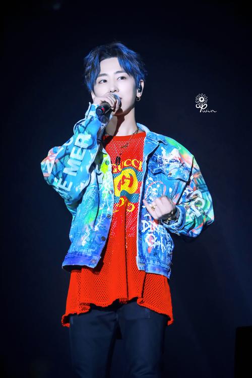 up向上_win魏巡个站