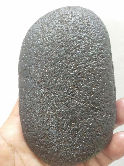 碳质球粒陨石成分:《硅酸盐,氧化物,硫化物》